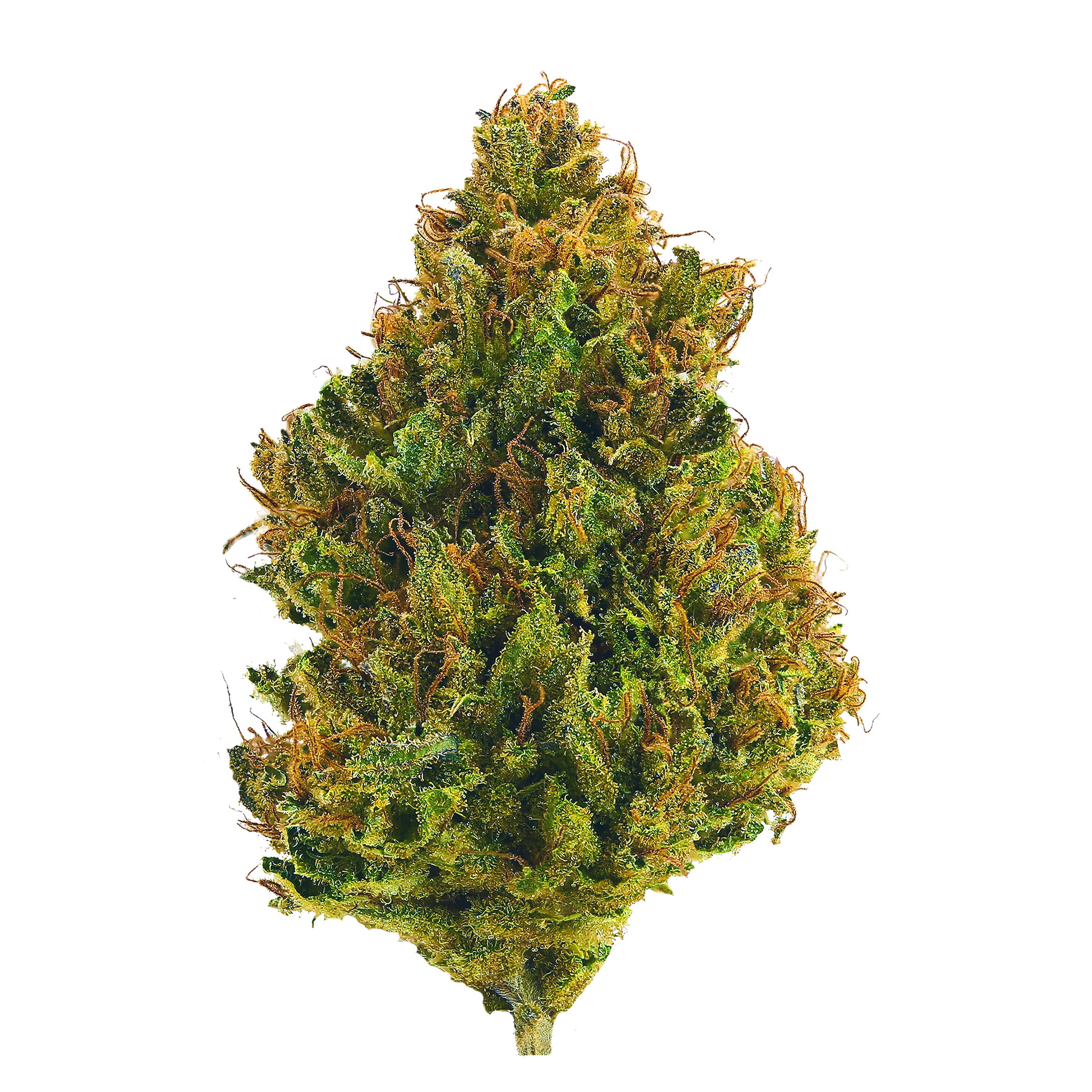 Chemdawg - Indica / Hybrid - 20.00%